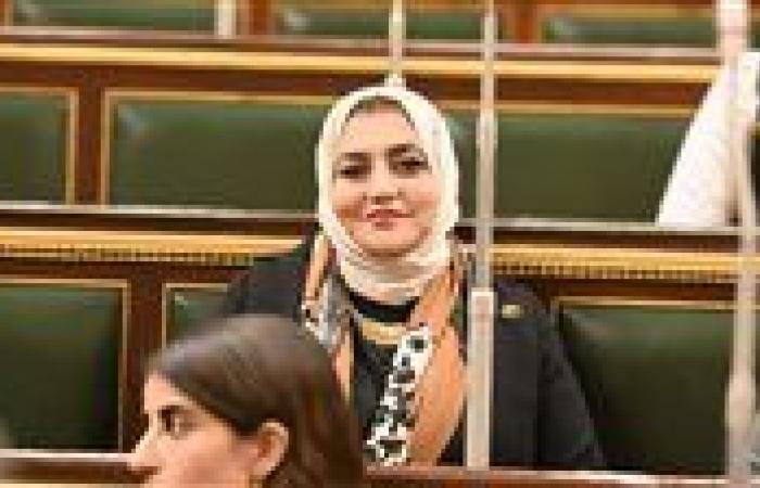 النائبة حنان عمار: العمال سلاح التنمية وثورة مصر الحقيقية