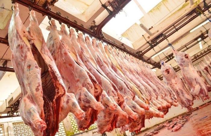 شركات أجنبية تبدي الاهتمام بتصدير اللحوم الحمراء إلى أسواق المغرب