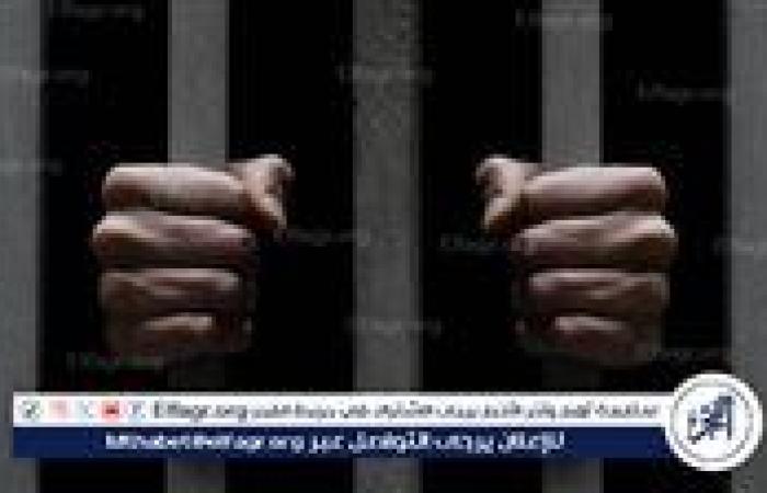 تجديد حبس المتهم بالاعتداء على الطفلة "مريم" بالقليوبية