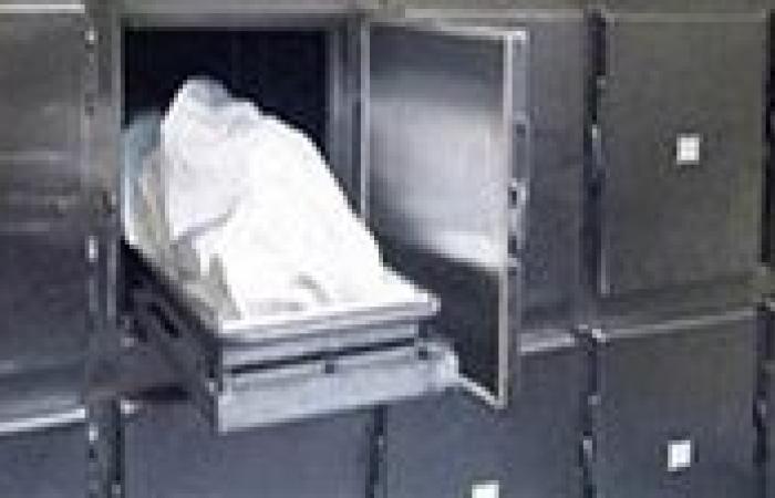مصرع طالبة إثر سقوطها من الطابق الرابع بكلية العلوم جامعة الزقازيق