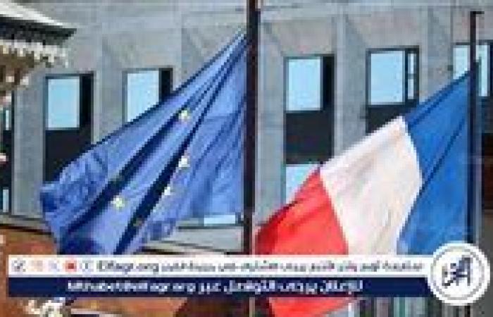وزارة الدفاع الفرنسية تقيل جنرالين لانتقادهما السلطات