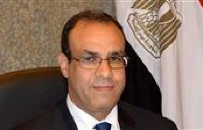 بدر عبد العاطي يجري اتصالين هاتفيين مع وزيرى خارجية الهند وباكستان