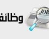 عاجل| "العمل" توفر 700 فرصة عمل جديدة للشباب برواتب تصل لـ7500 جنيه