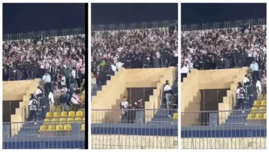 "أعظم نادي".. جماهير الزمالك تدعم لاعبي الفريق خلال مواجهة طلائع الجيش