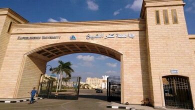 جامعة كفر الشيخ تتصدر تصنيف التايمز البريطاني للتخصصات الأكاديمية لعام 2025