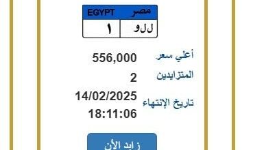 بنصف مليون جنيه.. المرور تطرح لوحة سيارات مميزة يتنافس عليها اثنين