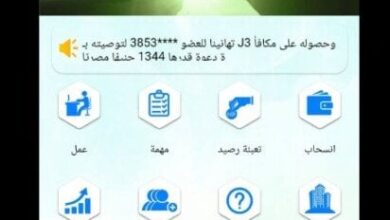 تحقيقات موسعة مع عصابات النصب الإلكتروني بشركة FBC